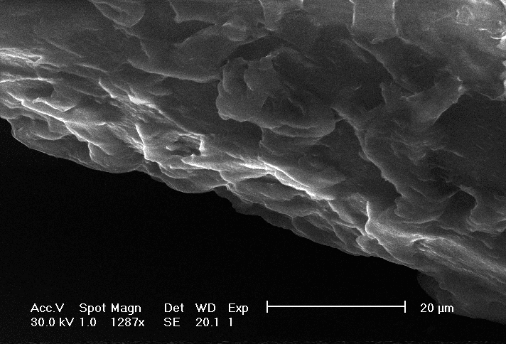 High-magnification SEM of a hair cuticle surface
