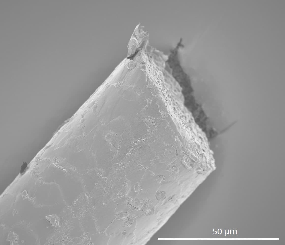 SEM of a human hair fibre at a cut end