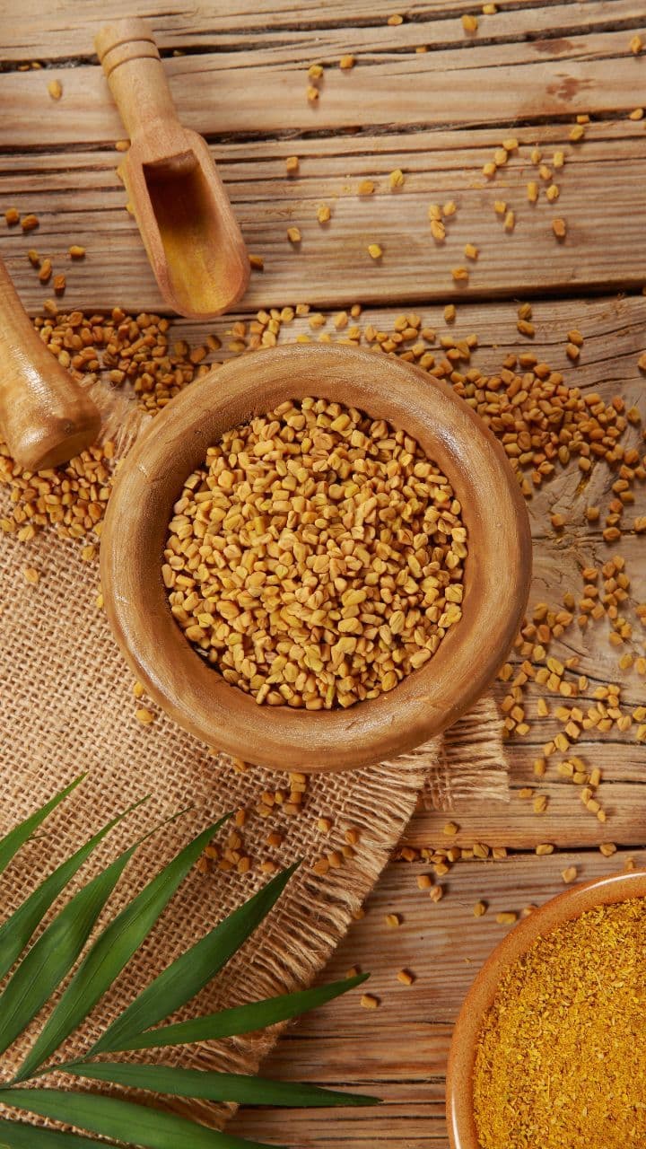 Fenugreek — close up